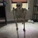 severe lack of spooky memes this october.png