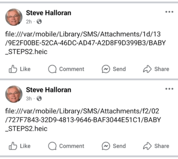 senator halloran did it again posting file location instead of insane photo share see now that would have been a good sign.png