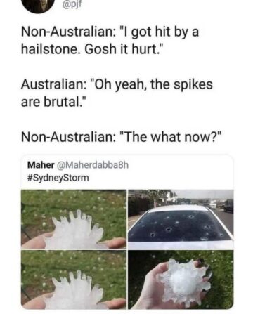 australians are built different.jpeg