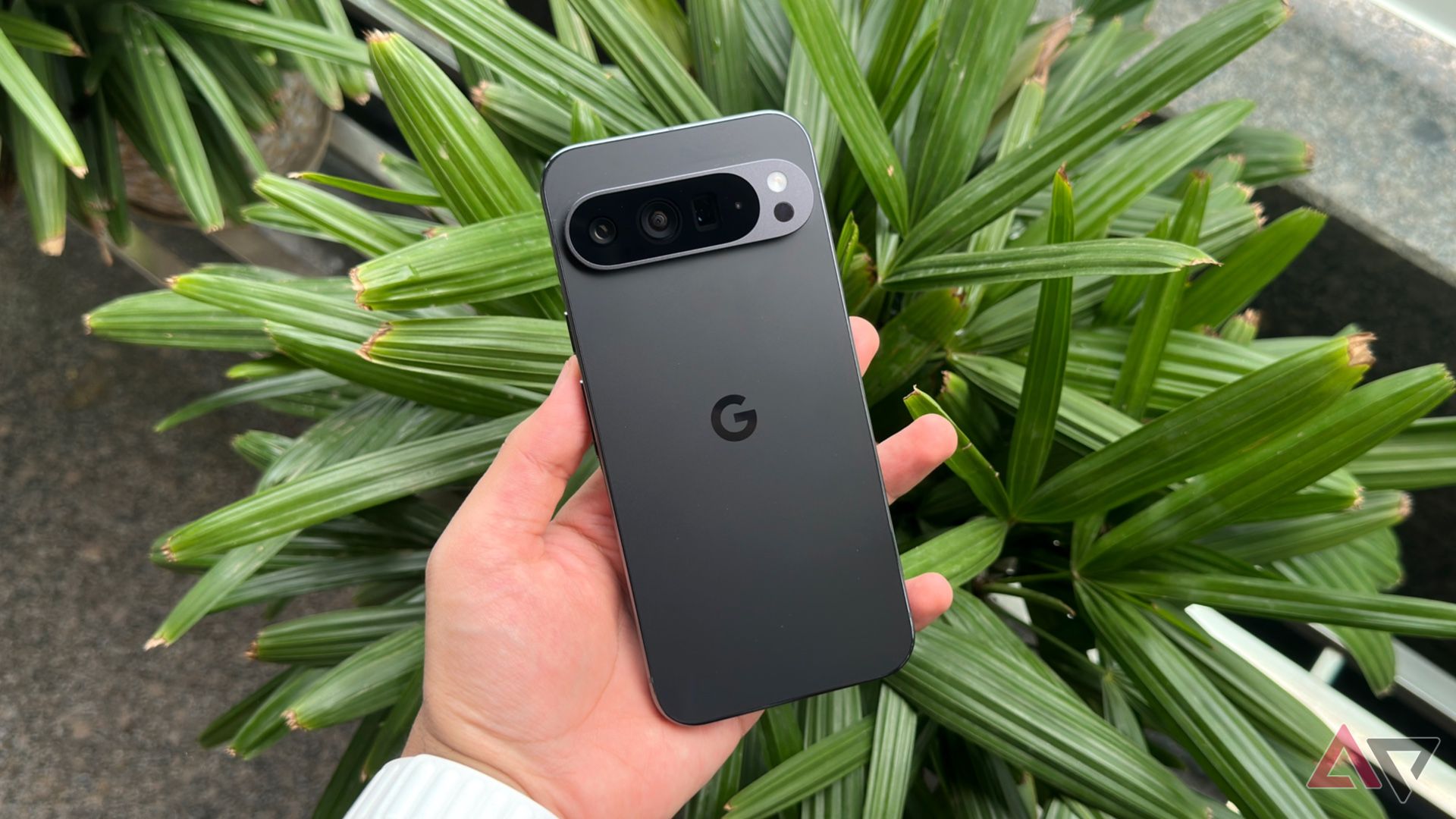 Pixel 9 Pro XL in hand in front of green plants