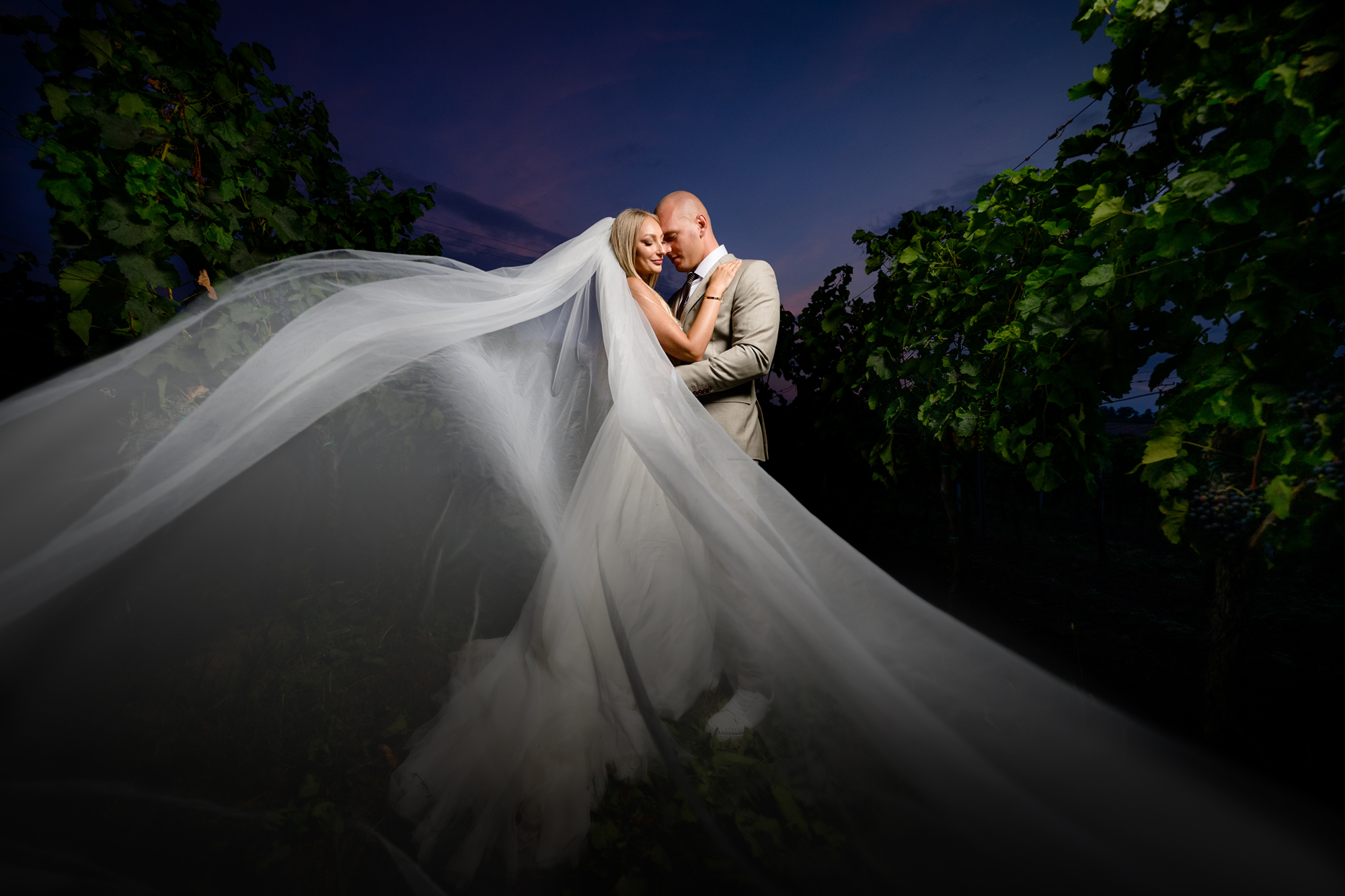 bride and groom veil shot