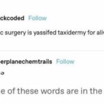 cosmetic surgery is yassified taxidermy for alive things.jpeg