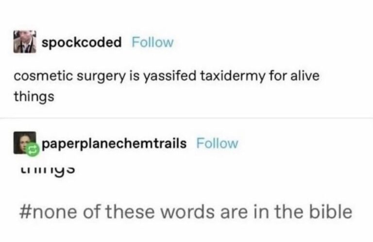 cosmetic surgery is yassified taxidermy for alive things.jpeg