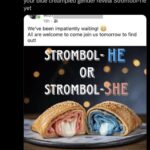 blue creampied gender reveal strombl he.jpeg