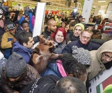 black friday sales was insane.jpeg