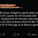 is that gay or is there a genie rule.png