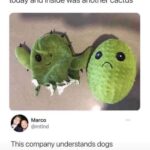 this company also understands cactuses.jpeg