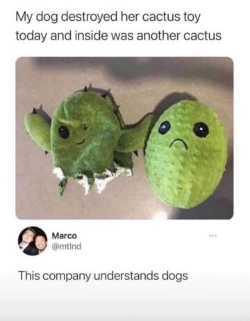 this company also understands cactuses.jpeg