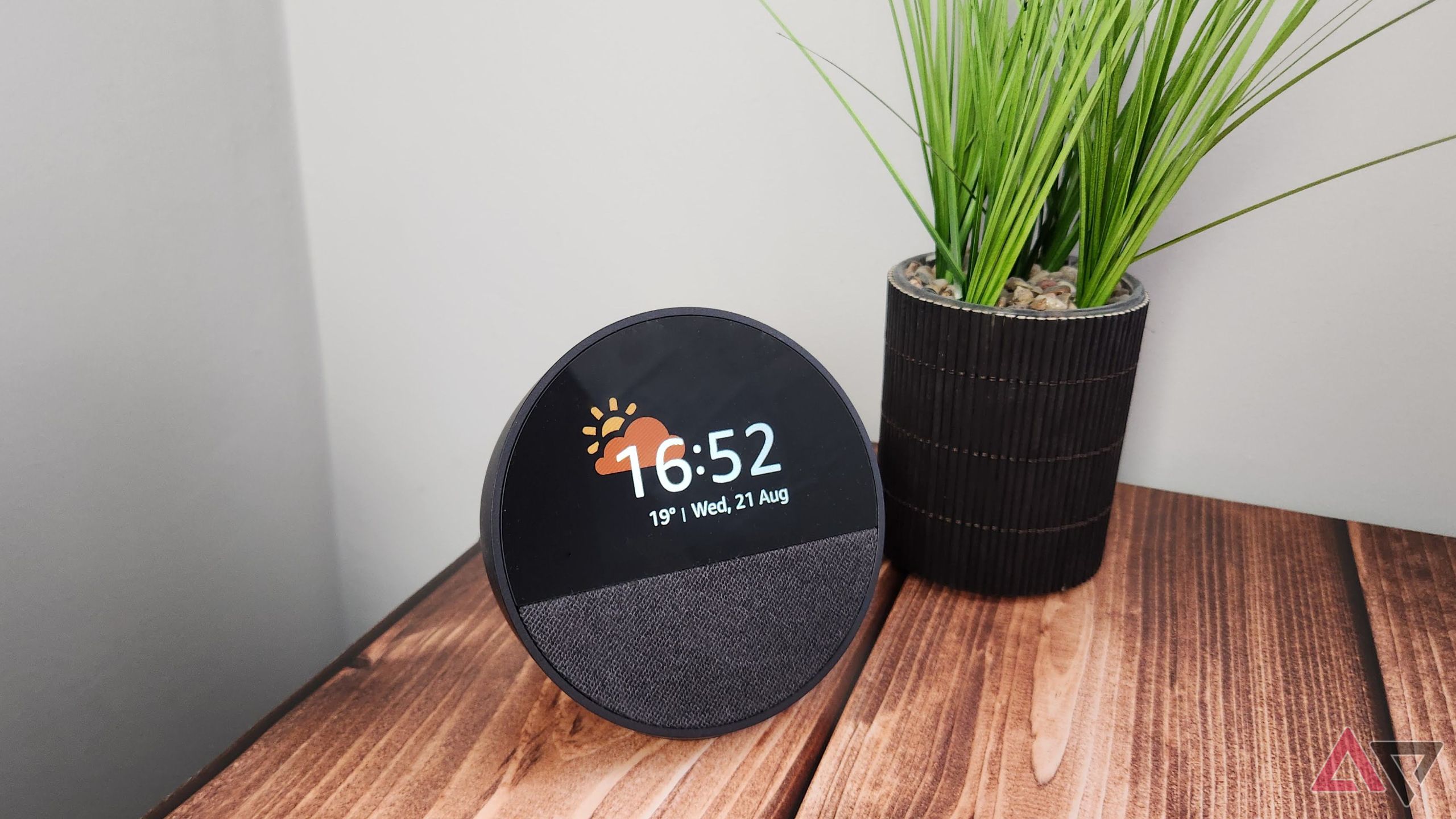 Amazon Echo Spot on a wooden table next to a green plant