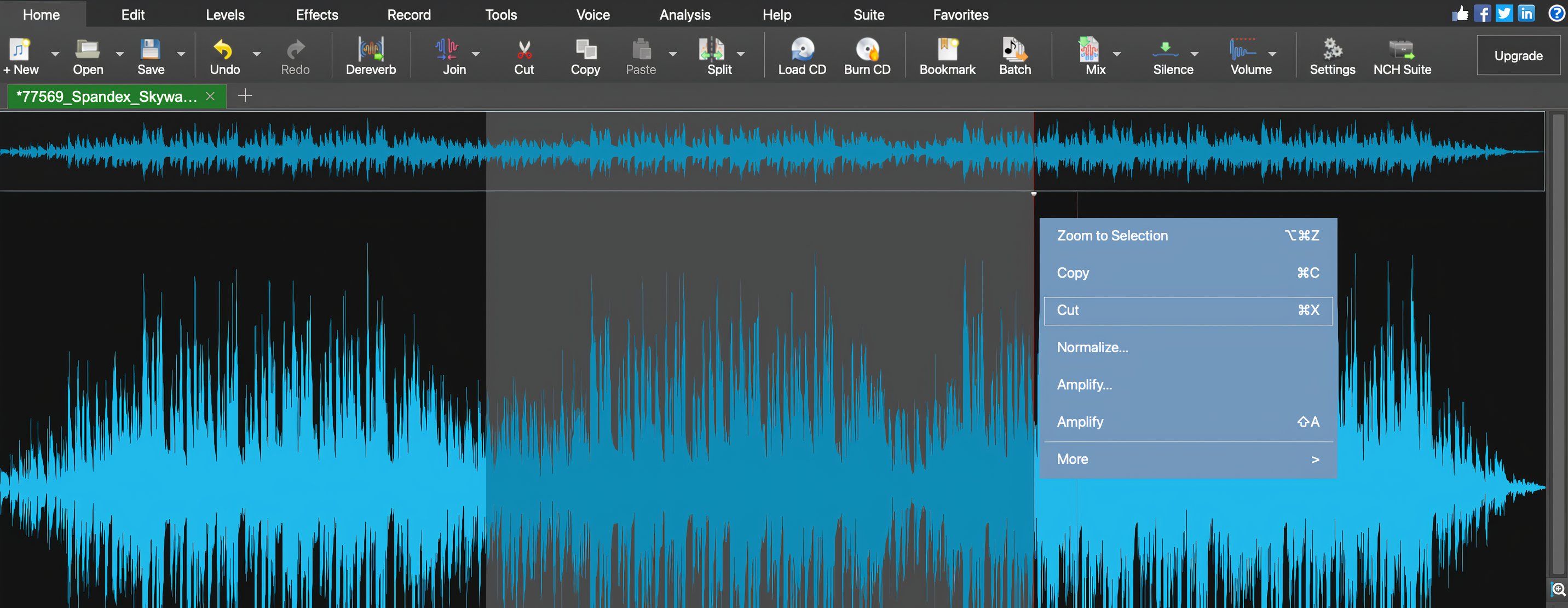 Editing an audio file in WavePad.