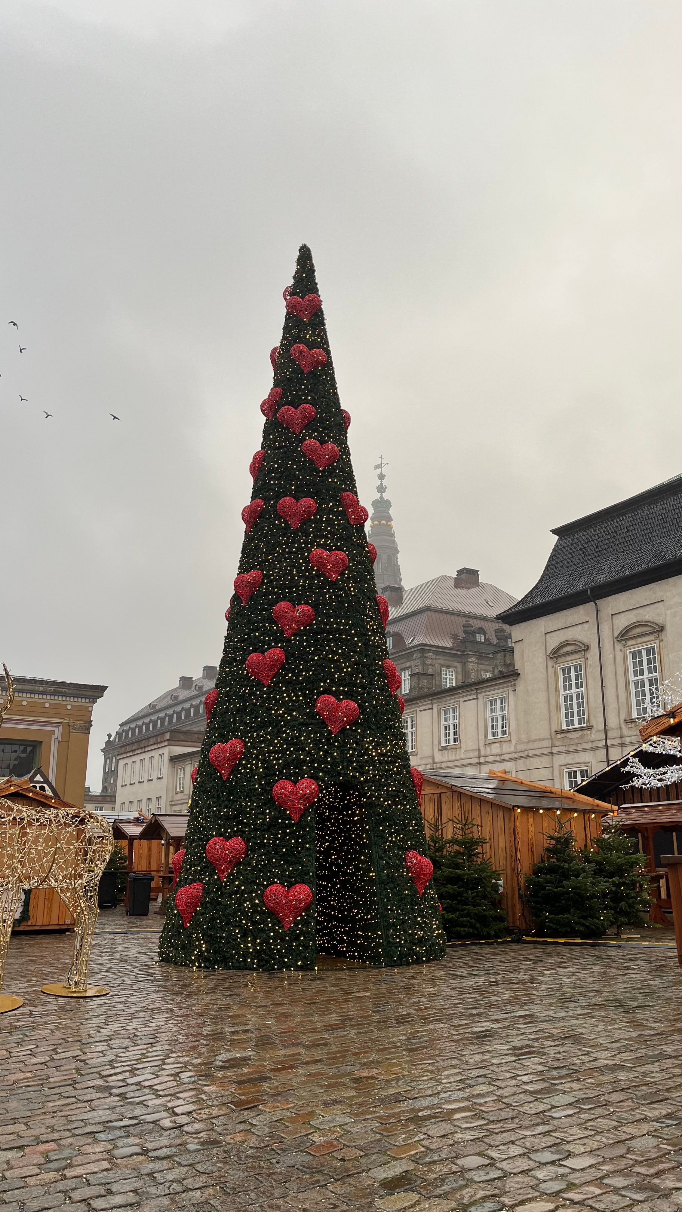 An image of a Christmas market in a city