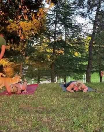 man trying to catch his dog around two girls doing yoga.png