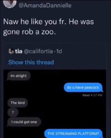 who wouldnt rob a zoo for love.jpeg