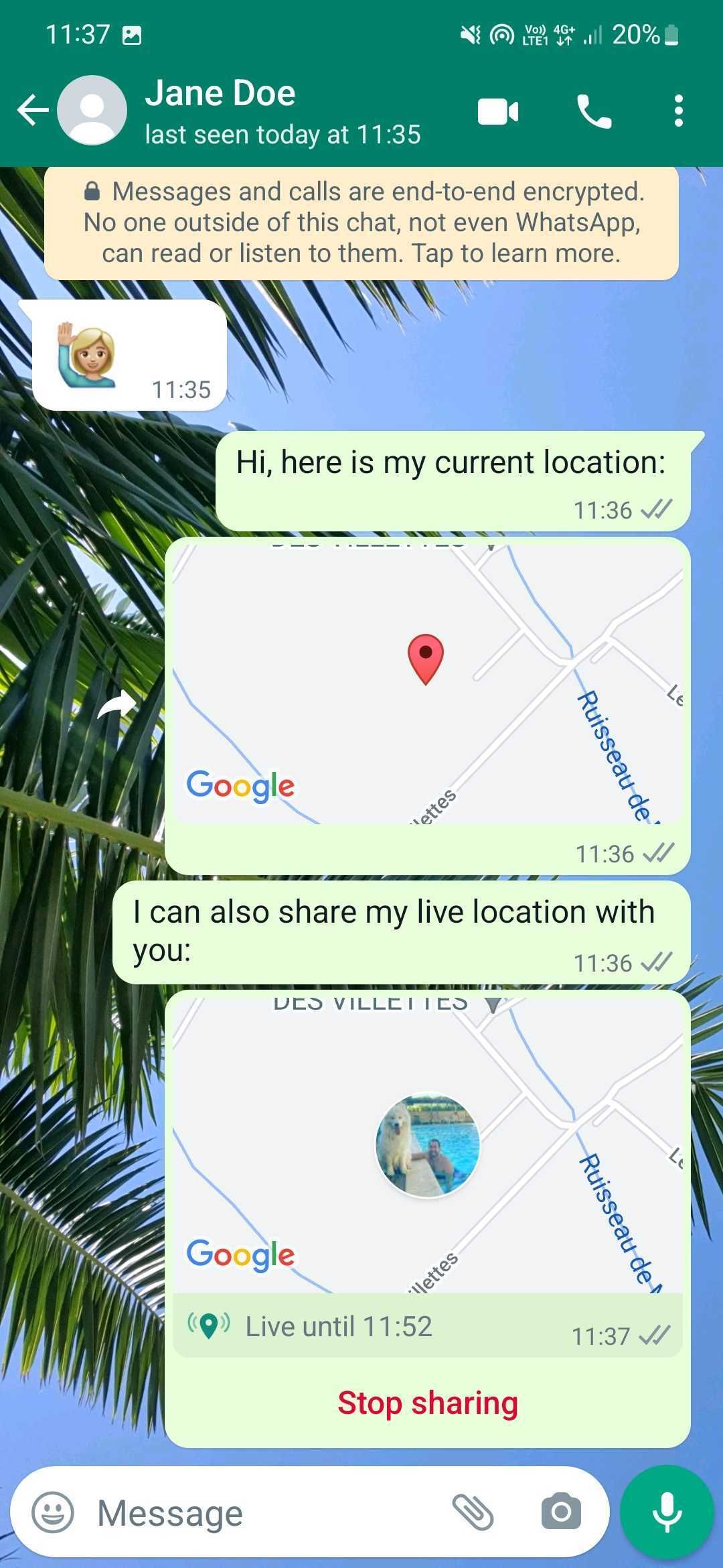 Screenshot of a Whatsapp conversation with location sharing