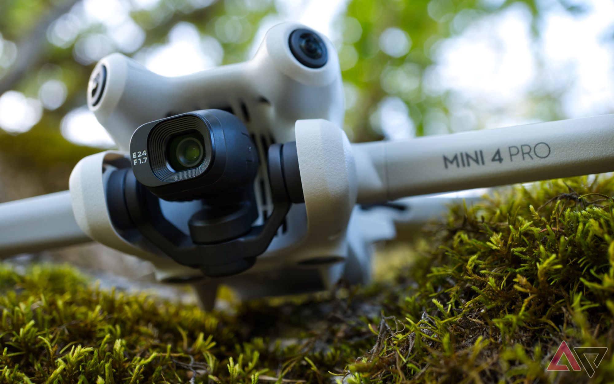 DJI Mini 4 Pro on moss