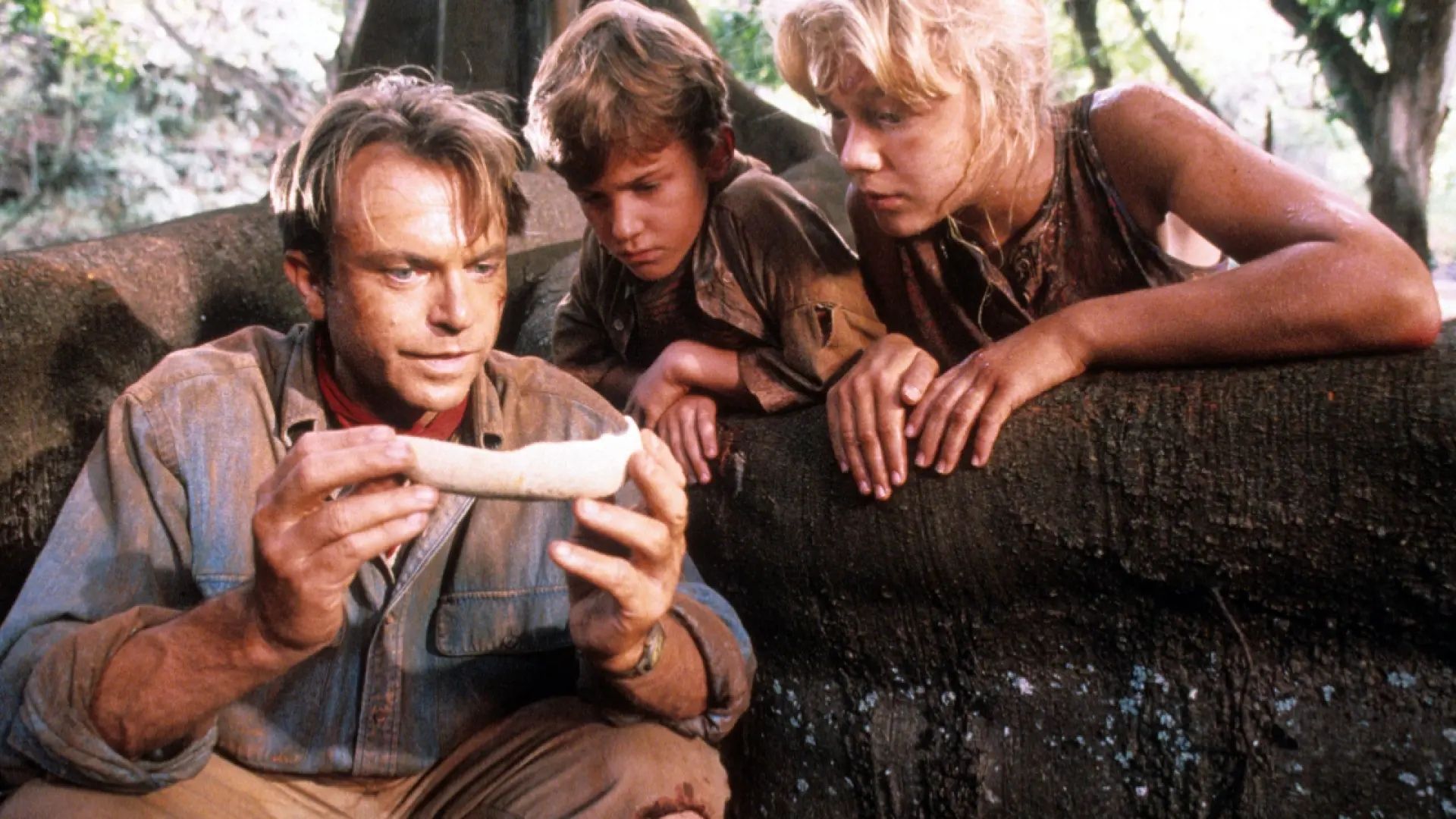 alan grant, tim and lex look at an eggshell in the film jurassic park