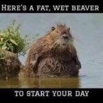 youre welcome f09fabb6.jpeg