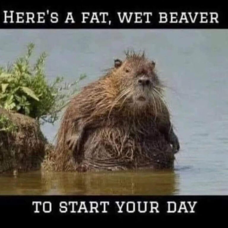 youre welcome f09fabb6.jpeg
