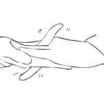 who remembers doing the fingering trick.png