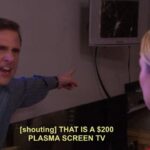 do you think michael got the tiny plasma tv because it was all he could afford or because jan didnt want a big tv ruining her living room esthetic.jpeg