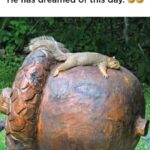 thats a big nut f09fabb6.jpeg