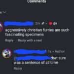 agressively christian furries.jpeg