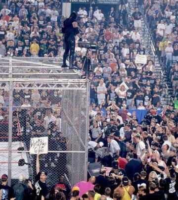 undertaker throws mankind off hell in a cell.jpeg