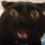 me irl.jpeg