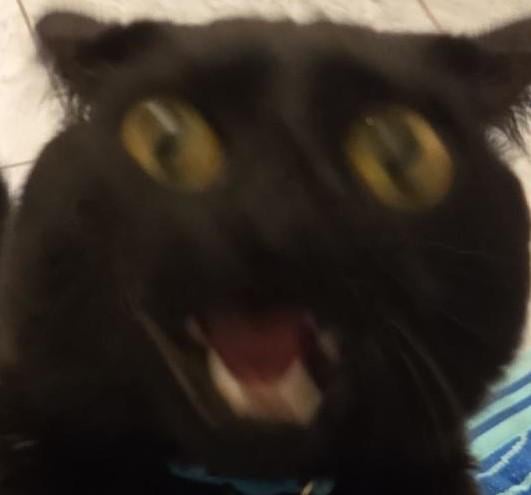 me irl.jpeg
