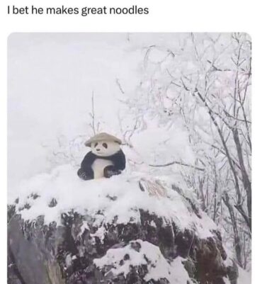 im sure.jpeg