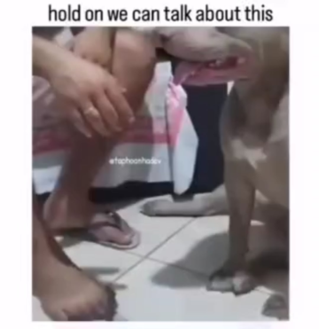hold on.png