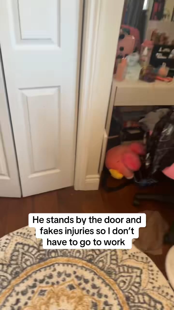 dog fakes injury so his mom wont leave for work.png