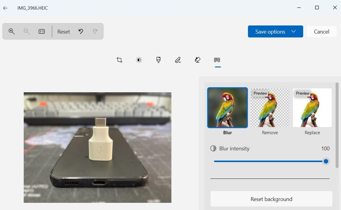 Background remover in Windows 11 Photos app