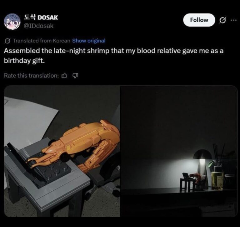 assembled the late night shrimp that my blood relative gave me as a birthday gift.jpeg