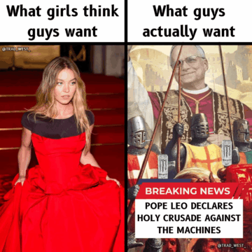 the male fantasy.png