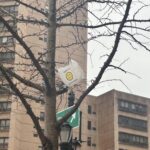 everything sunny all the time always.jpeg