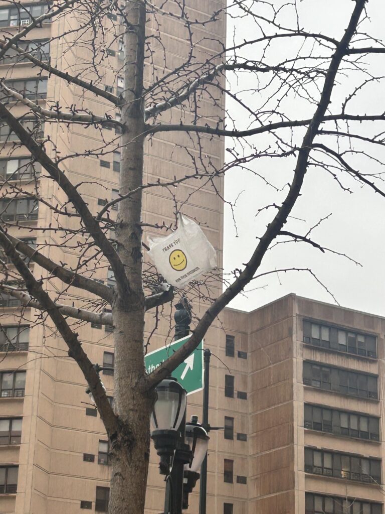 everything sunny all the time always.jpeg