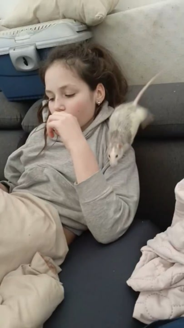 stocking up for the night.png