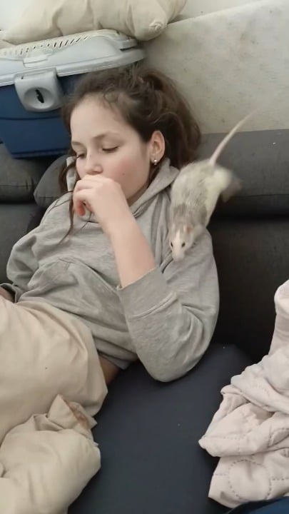 stocking up for the night.png