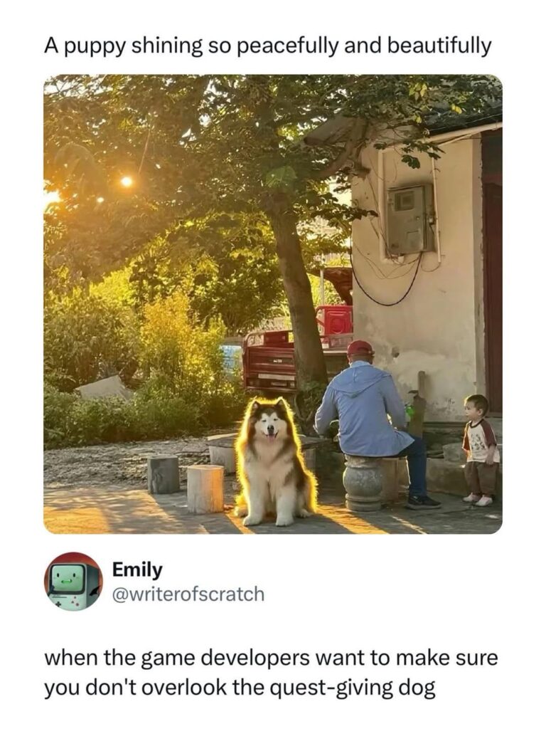 quest giving dog.jpeg