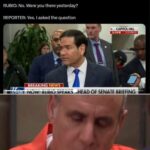 hed have been better off not understanding the question and not responding.jpeg