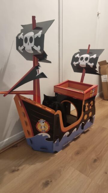 took me 40 minutes to build never seen her so happy.jpeg