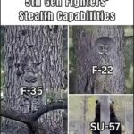 fighters stealth.jpeg