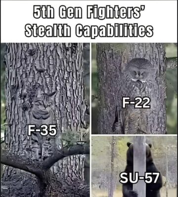 fighters stealth.jpeg