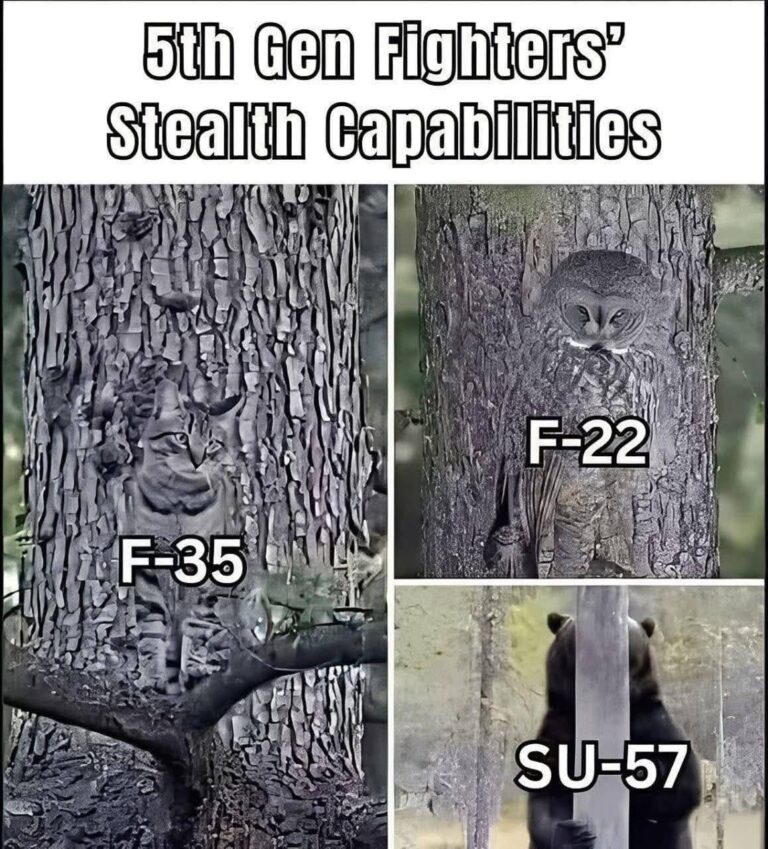 fighters stealth.jpeg