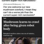 welcome mushroom overlord all hail zorp.jpeg