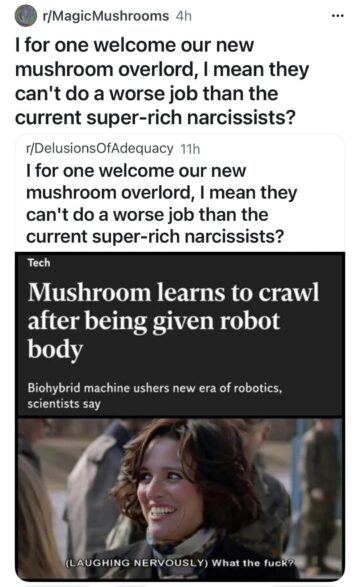 welcome mushroom overlord all hail zorp.jpeg