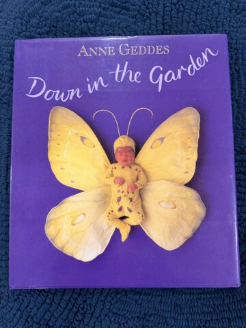 anne geddes the quintessential coffee table book.jpeg