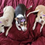 mom got a label maker today.jpeg