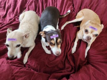 mom got a label maker today.jpeg